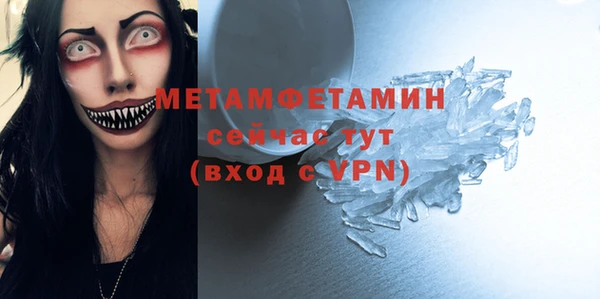 прущие грибы Верея