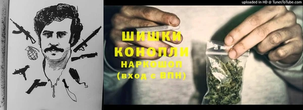 индика Тутаев