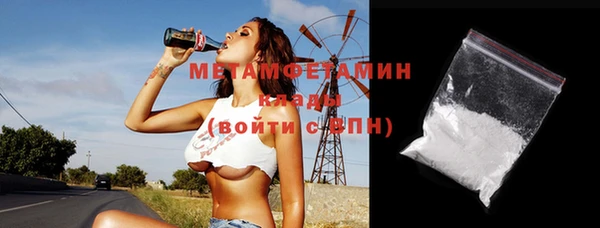 прущие грибы Верея