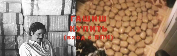 прущие грибы Верея