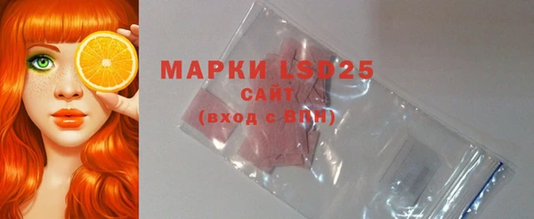 прущие грибы Верея