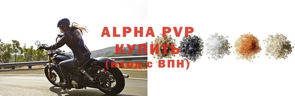 прущие грибы Верея