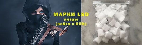 прущие грибы Верея