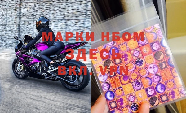 прущие грибы Верея