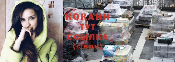 прущие грибы Верея