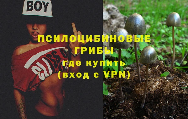 мескалин Верхний Тагил